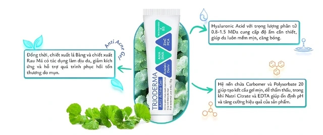 Chiết xuất lá bàng và rau má - Bộ đôi ‘dược liệu bản địa’ đang gây sốt